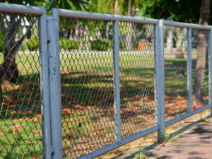 Saint Francis Dog Fences chained fences 300x225